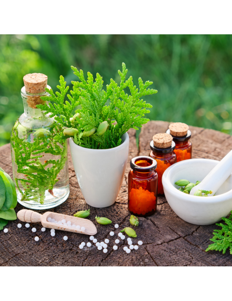 Formation L'essentiel de la Naturopathie
