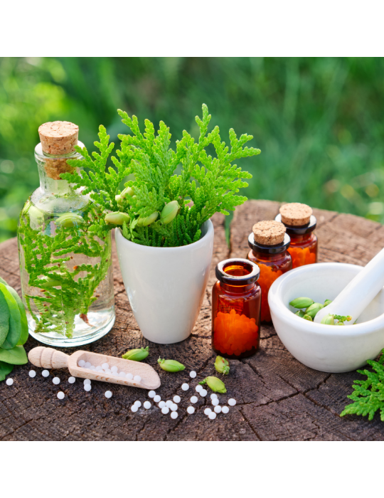 Formation L'essentiel de la Naturopathie